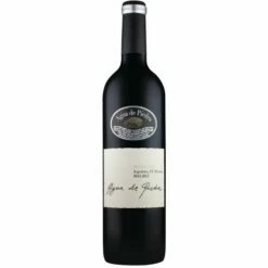 Agua De Piedra Seleccion Malbec 2022