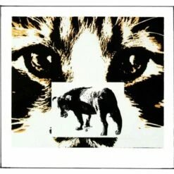 Sine Qua Non Chimere Chateauneuf-du-Pape (1.5 Liter Magnum In OWC) 2019