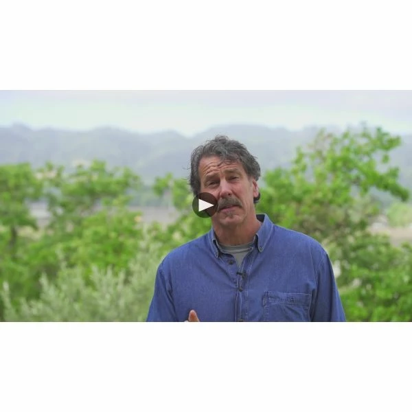 Mt. Brave Malbec 2018 - Image 3