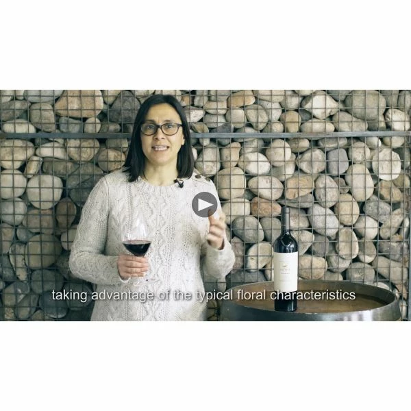 La Celia Pioneer Malbec 2017 - Image 3