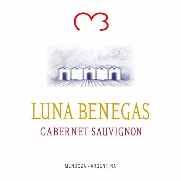 Bodega Benegas Luna Benegas Cabernet Sauvignon 2019 - Image 2