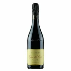 Cantine Cavicchioli Vigna Del Cristo Lambrusco 2022