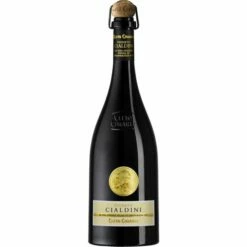 Cleto Chiarli Lambrusco Di Castelvetro Vigneto Cialdini 2022