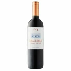 Bodega Benegas Luna Benegas Cabernet Sauvignon 2019