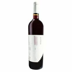 RGNY Scielo Tinto 2019